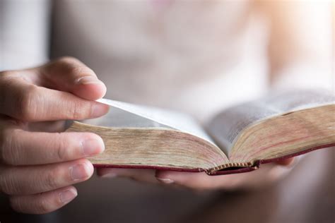 Read the Bible .